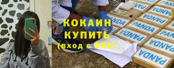 дурь Горняк
