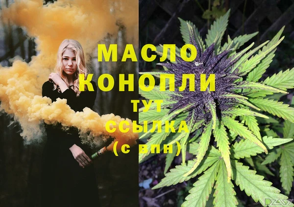молекула духа Чердынь