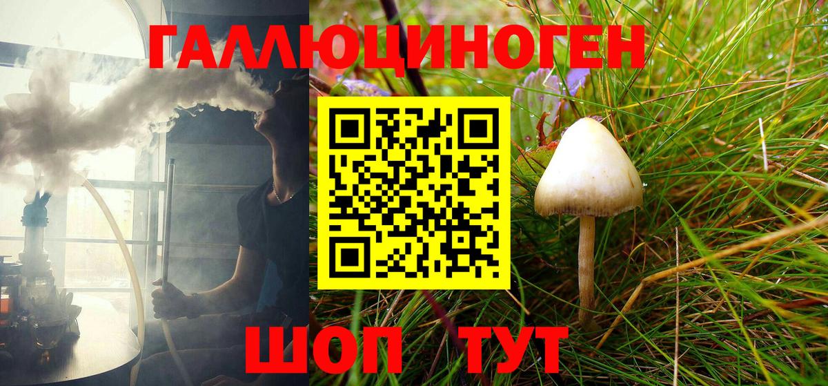 Галлюциногенные грибы Psilocybine cubensis Обь